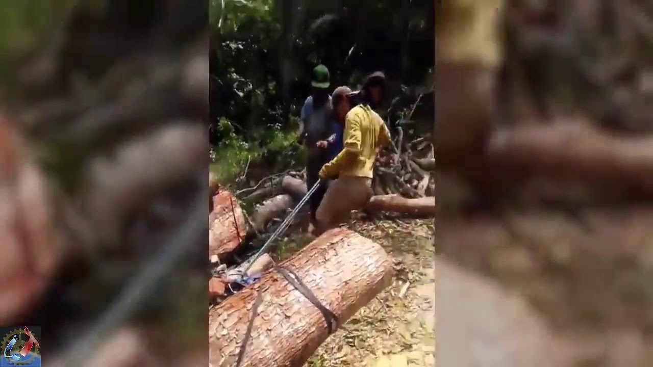 Extreme Motorbike Logging Transport - Carrying Heavy Loads on Difficult Roads