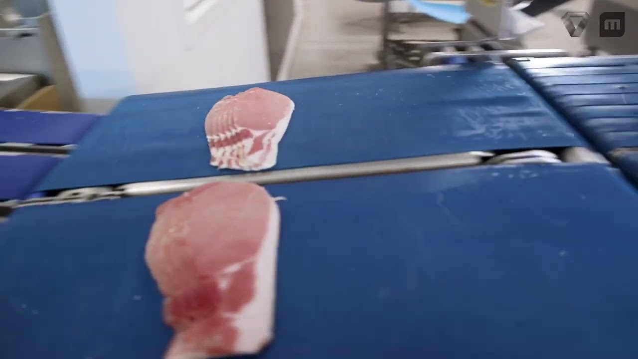 Provisur - Multivac Bacon line