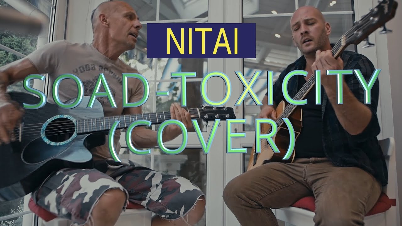 SOAD cover: Toxicity
