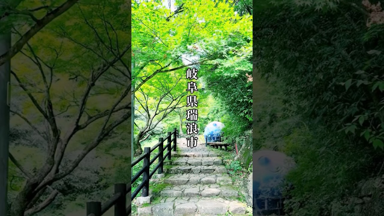 HYから30分の岐阜県瑞浪市にある竜吟の滝🐲 #japan #旅行 #滝 #岐阜 #瑞浪市