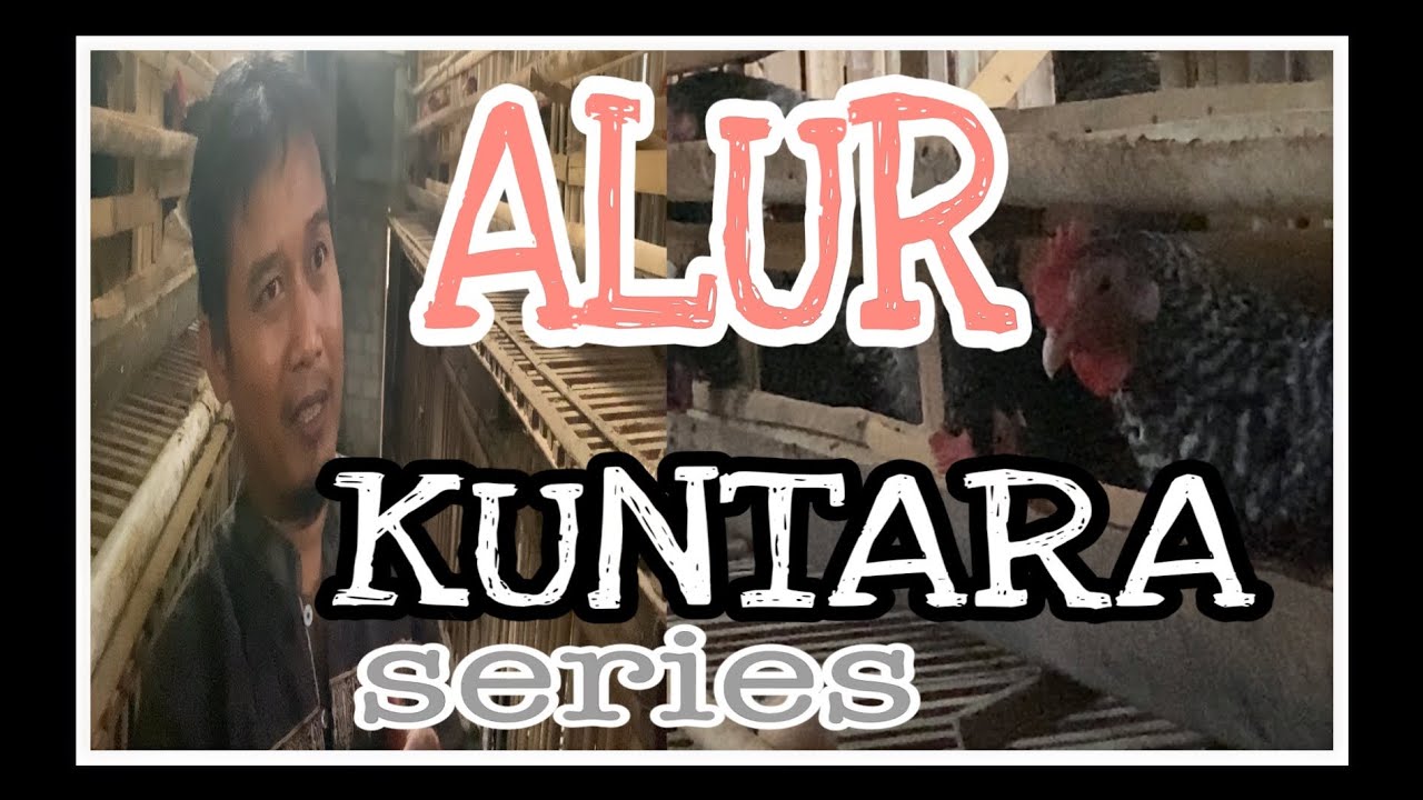 AYAM KUNTARA 4 SERI TERAKHIR