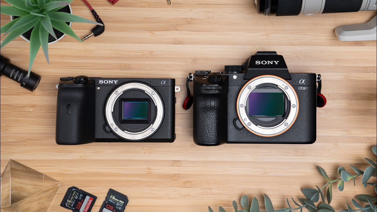 15 ОТЛИЧИЙ Sony A6600 и A7III — полный кадр или APSC?