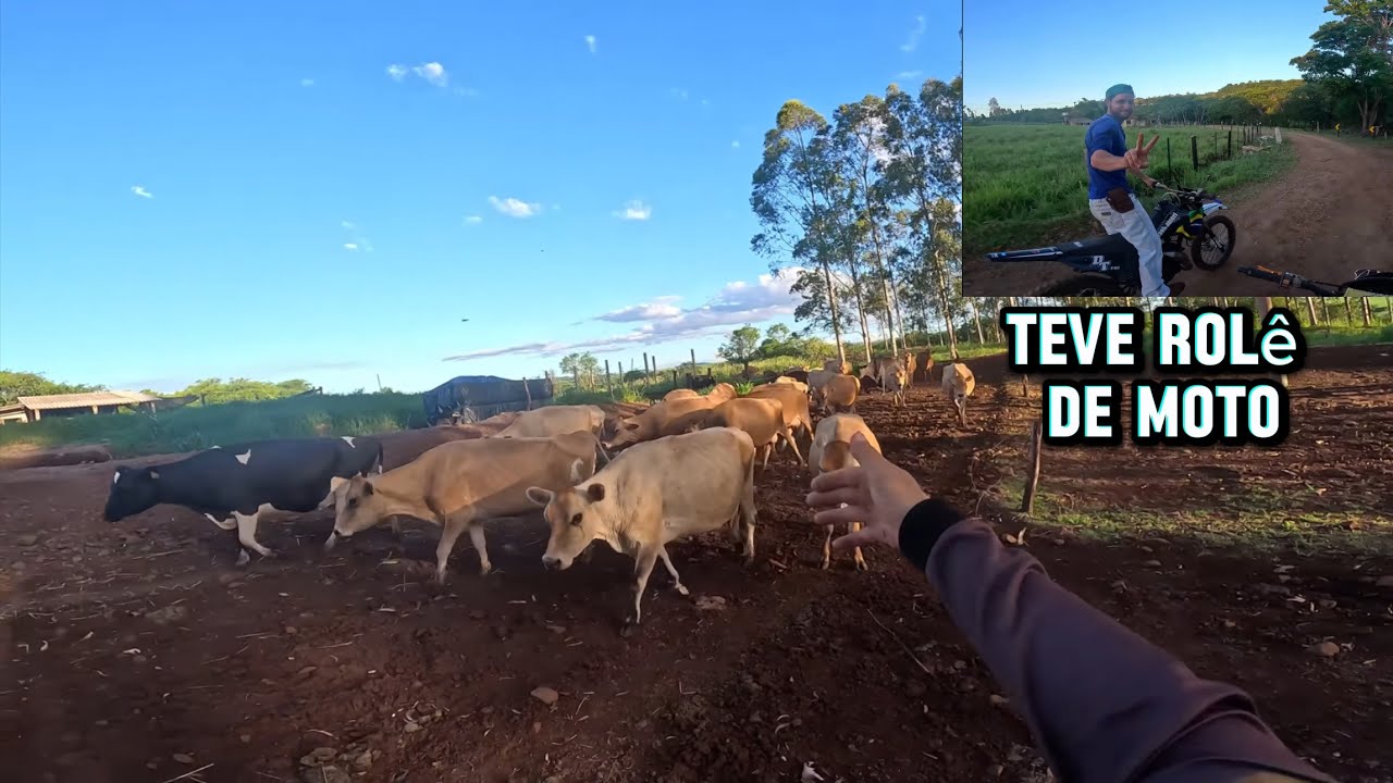 roçando a grama e tratando do gado (teve role de moto no fim do dia)