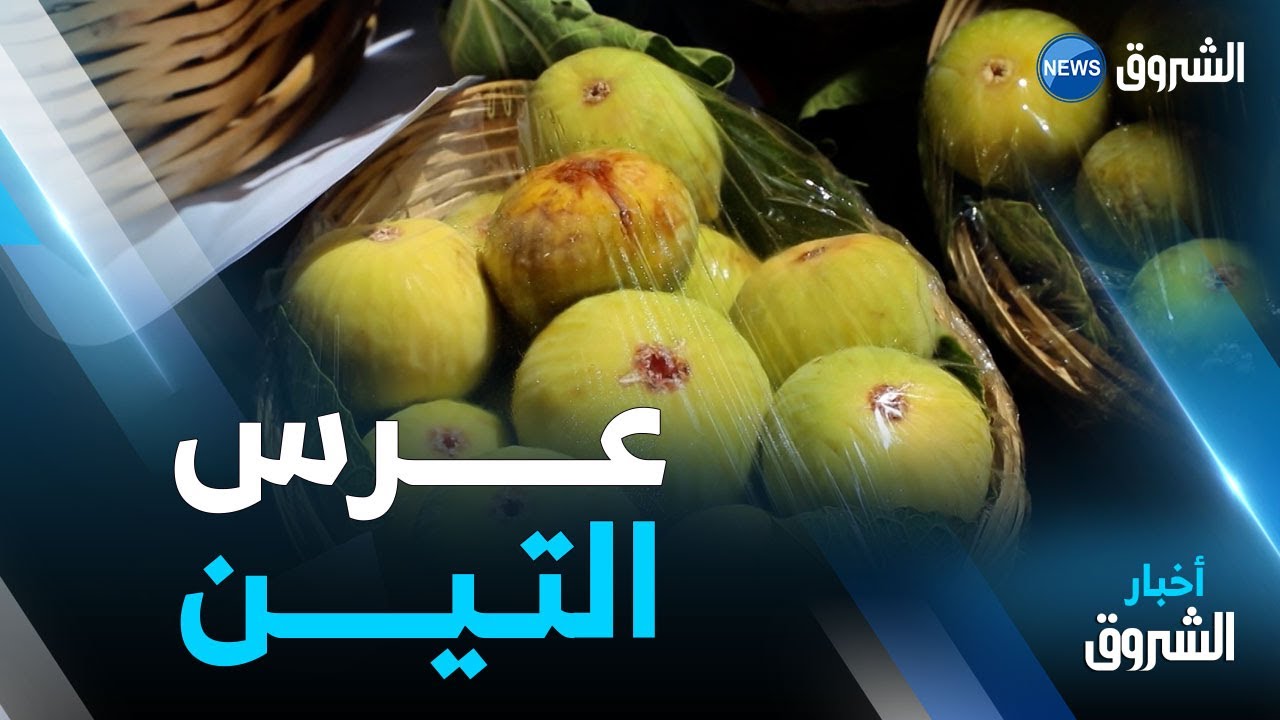 تيزي وزو.. انطلاق الطبعة 13 من عرس التين بقرية لمصلى بإيلولة أومالو