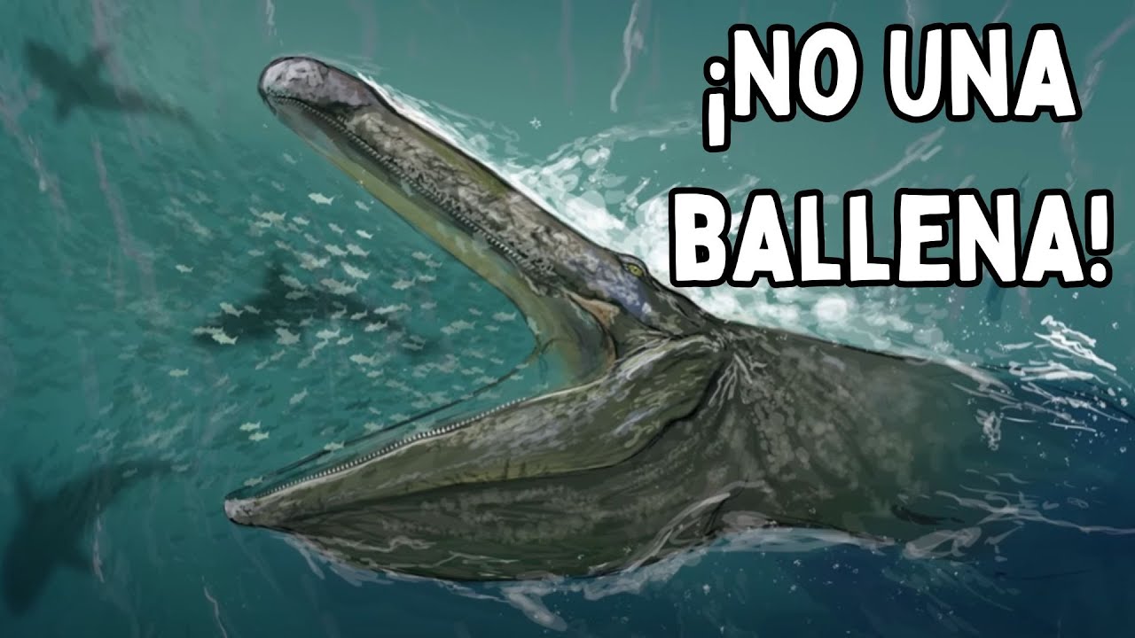 Cuando La Evolución Recreó Animales Extintos