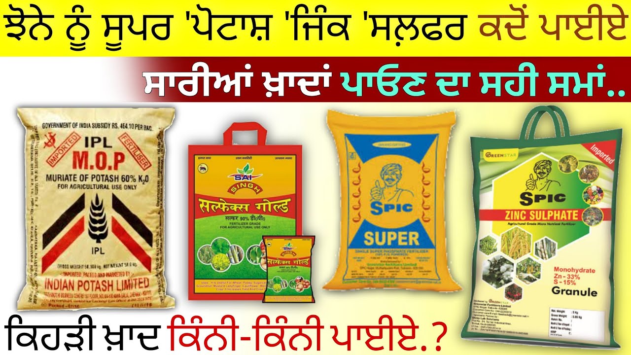 ਝੋਨੇ ਨੂੰ ਸੂਪਰ 'ਪੋਟਾਸ਼ 'ਜਿੰਕ 'ਸਲ਼ਫਰ 'ਮੈਗਨੀਸ਼ੀਅਮ 'ਕੈਲਸ਼ੀਅਮ ਕਦੋ ਪਾਈਏ • paddy fertilizer management