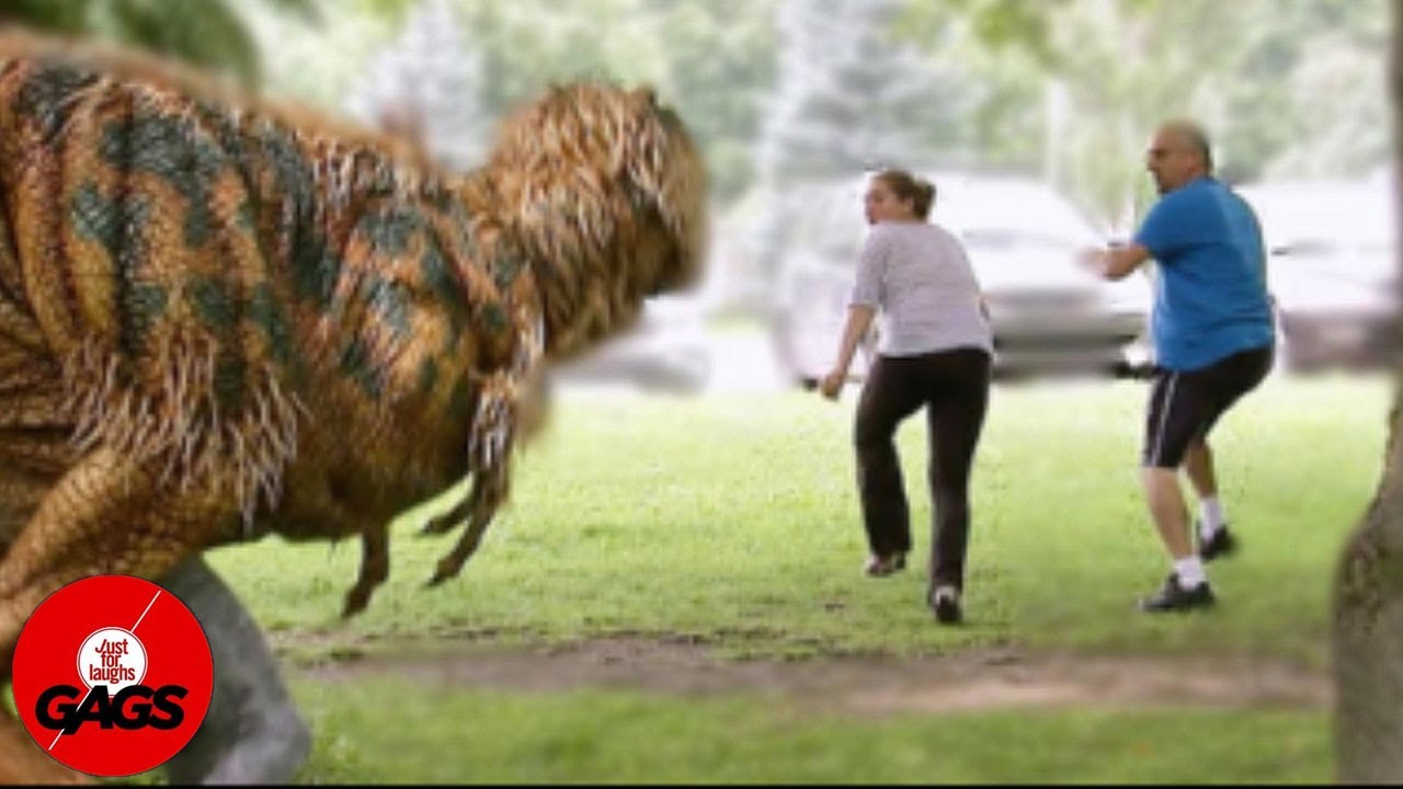 T-Rex Attack Scares Couple | Just For Laughs Gags