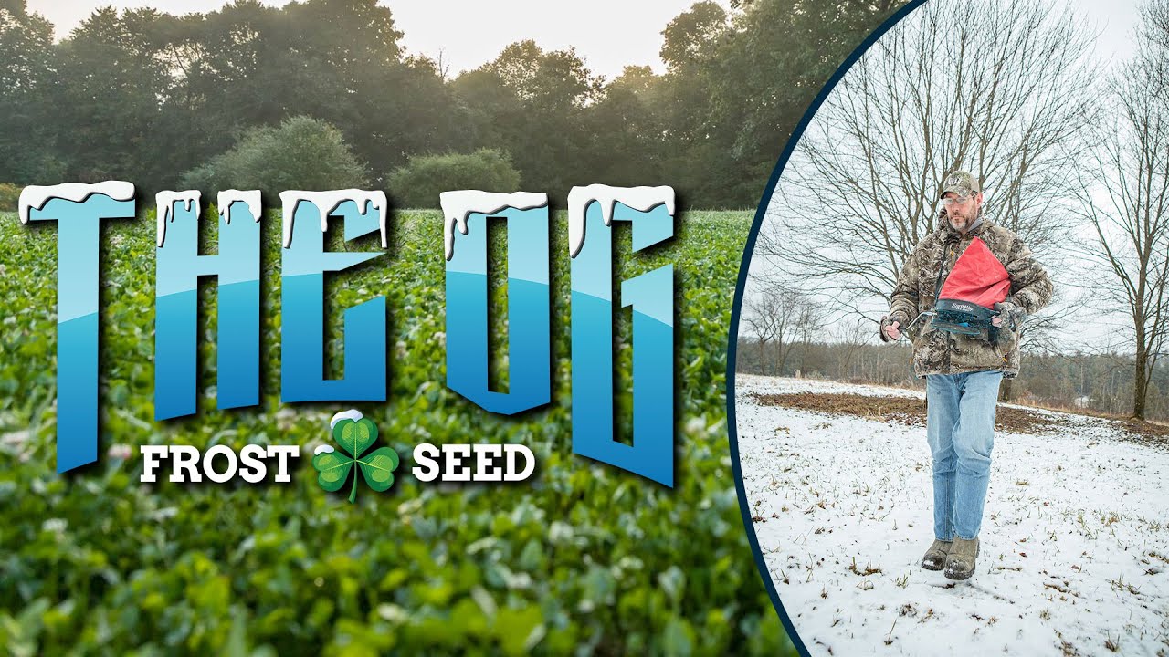 The OG Frost Seed &ndash; Designed Specifically for Frost Seeding Success