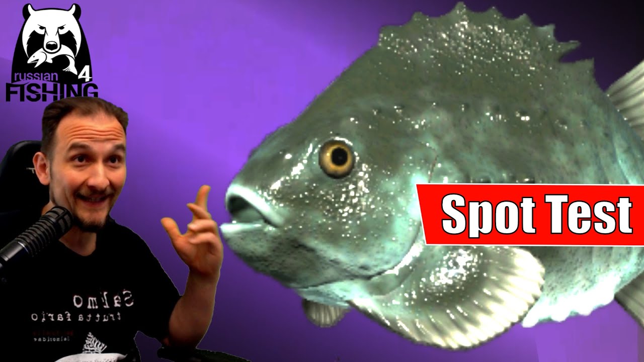 Russian Fishing 4 - Nordmeer - Seehase, Spot test mit Echolot, Pilker und Beifänger, Köder und Set