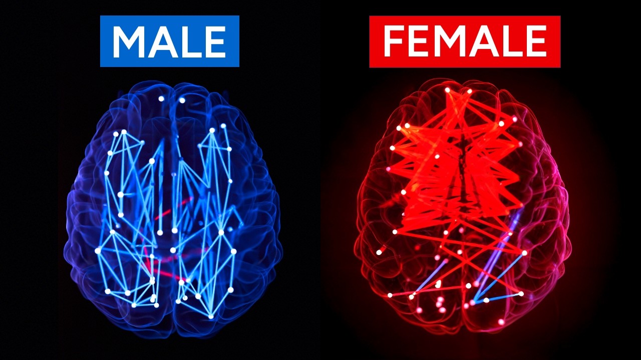 Is There a Smarter Sex?