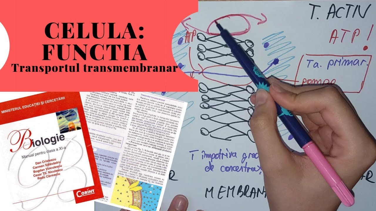 ADMITERE MEDICINA: CELULA -FUNCTIE- Partea 2/3