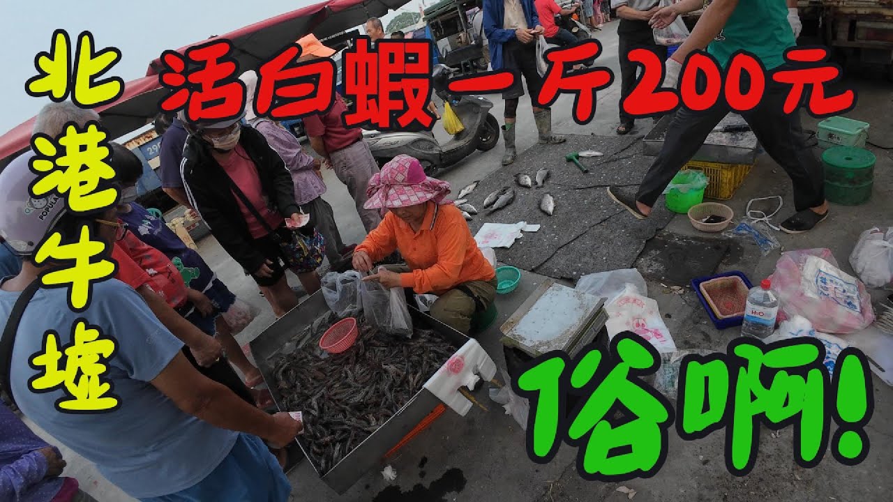 北港牛墟悠閒逛 #北港牛墟 #羊肉米糕 #紅燒青蛙湯 #北港 #三大牛墟之一