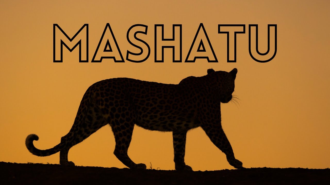 Mashatu Game Reserve | Private Photographic Safari Highlights - July 2022