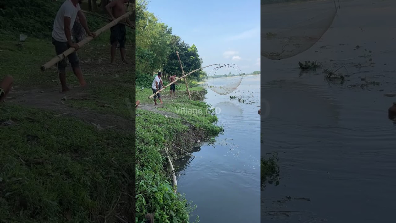 🎣 Fishing for LIFE in a Desi Village | A Day of Traditional Fishing in Rural Life 🌾 Village Ltd
