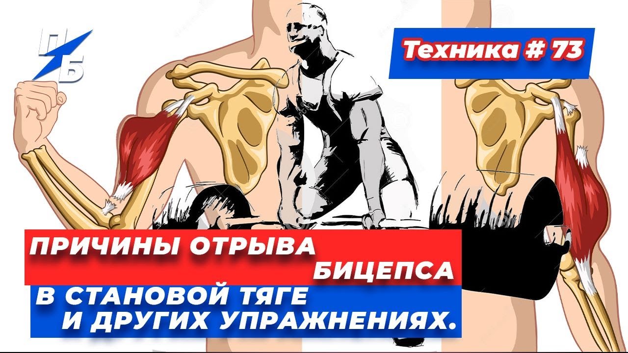 Причины отрыва бицепса в становой тяге и других упражнениях