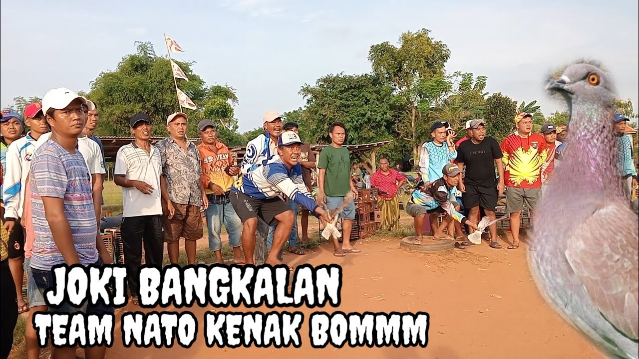 Merpati balap sprint di lapak Banyuates Madura 26 Okt 2025