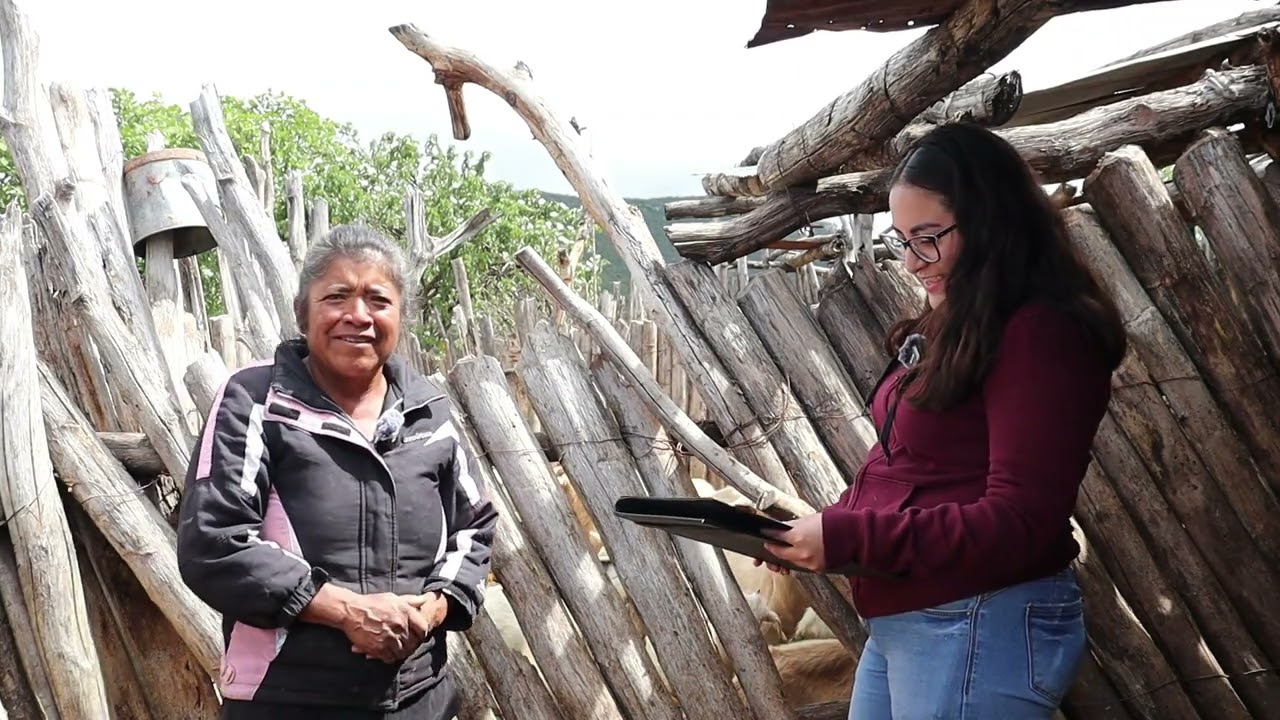 Producci&oacute;n de cabras criollas en la mixteca poblana.
