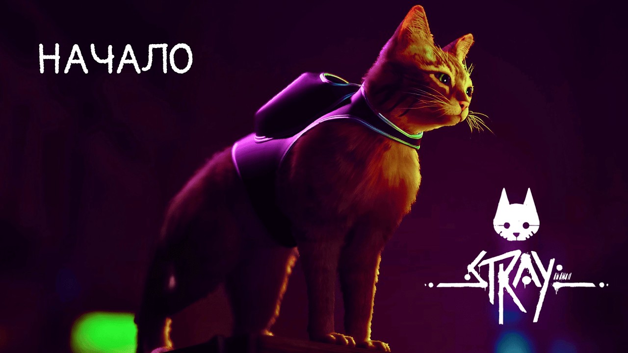 STRAY⚡НАЧАЛО☝️