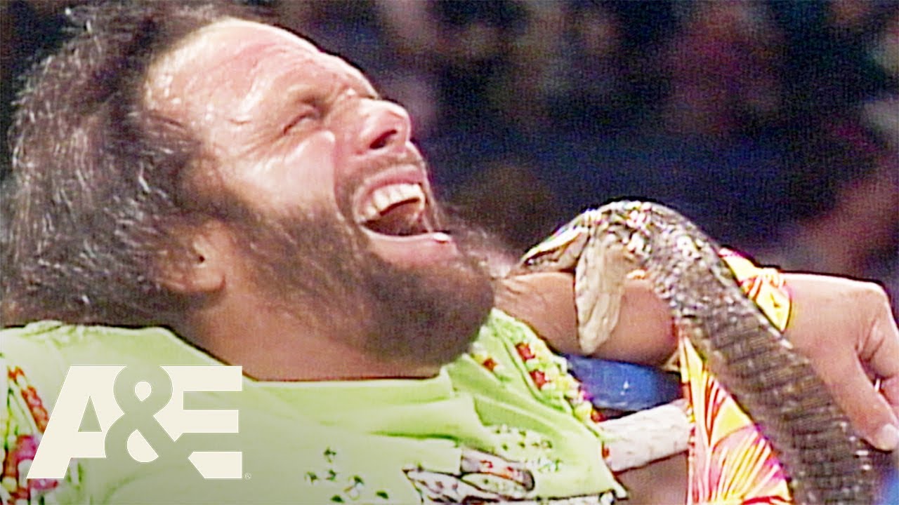 WWE Biography: Randy 