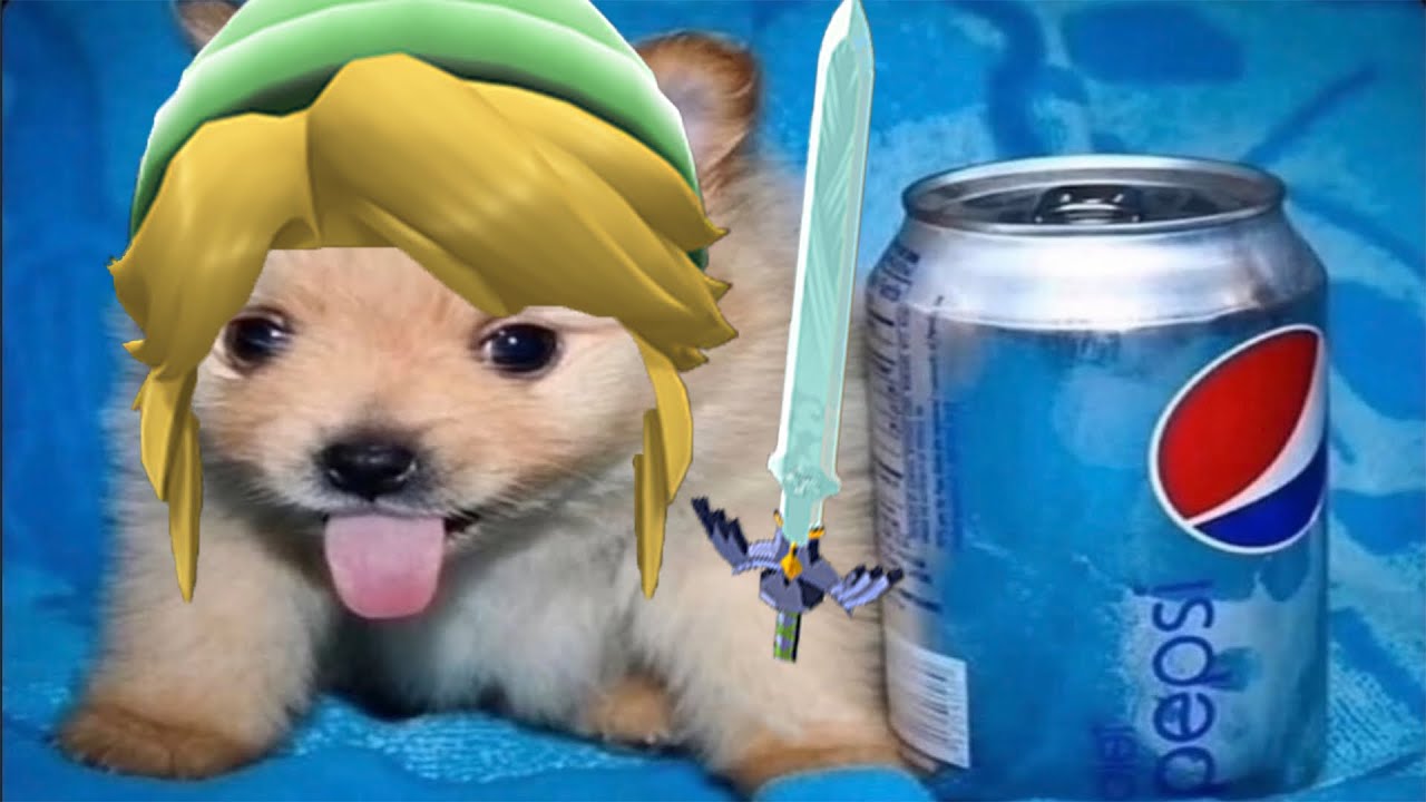 ZELDA, DO YOU THINK DEKU NUTS ARE THEIR ACTUAL NUTS OR DO YOU THINK THEY MAKE NEW ONES AND JUST SHED