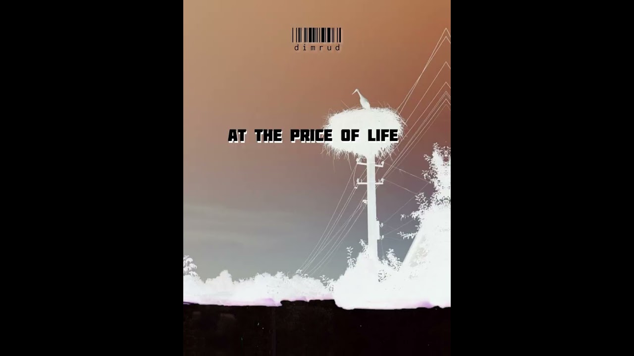 dimrud– At the Price of Life 