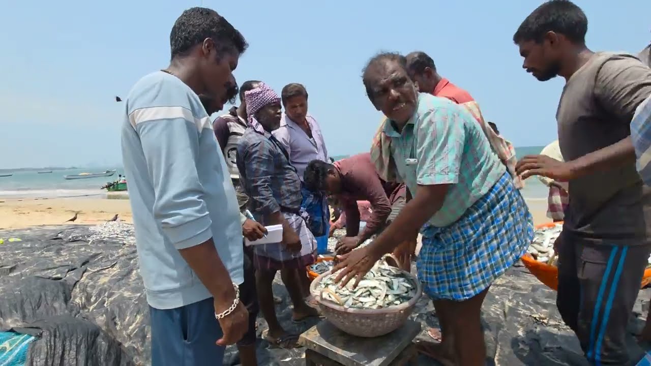 சாலை மீன் ஒரு கிலோ 155₹  மீன்களுக்கு பயங்கரமான விலை   