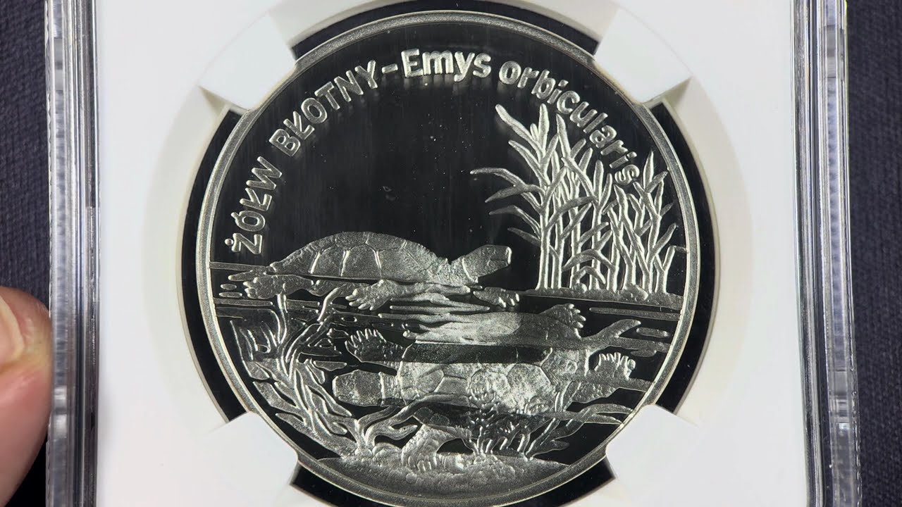 20 złotych 2002 - Żółw błotny