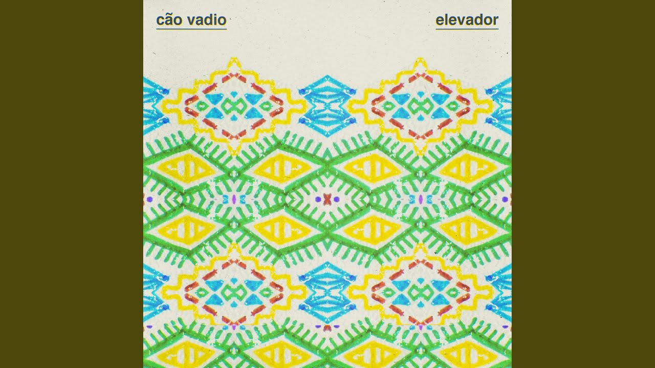 C&atilde;o Vadio