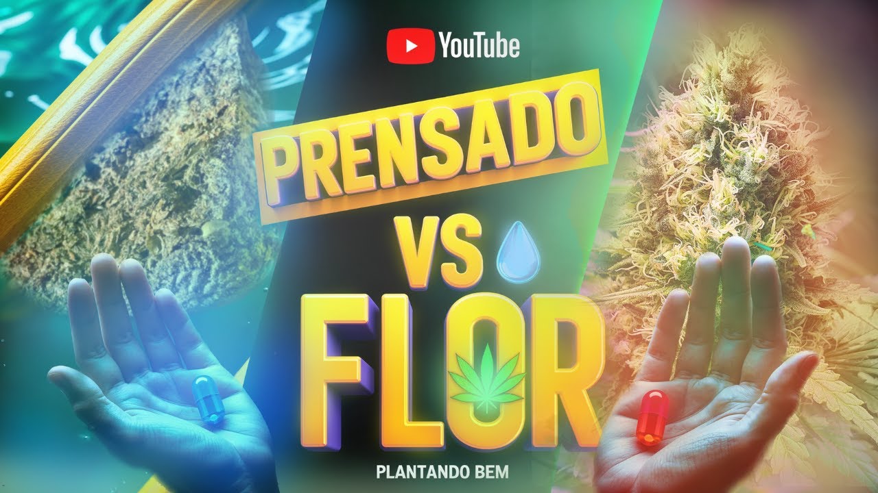 A verdade sobre PRENSADO vs FLOR que ningu&eacute;m te conta