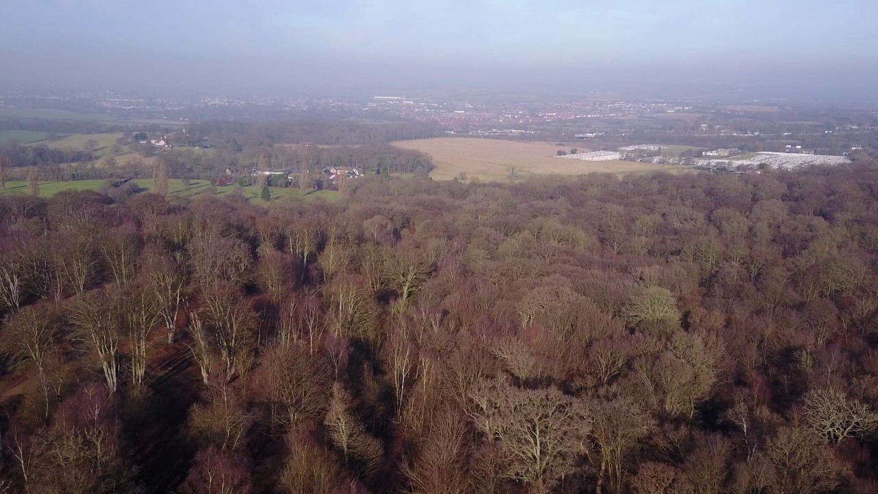 High Beach (Epping Forest) shot on DJI Mavic