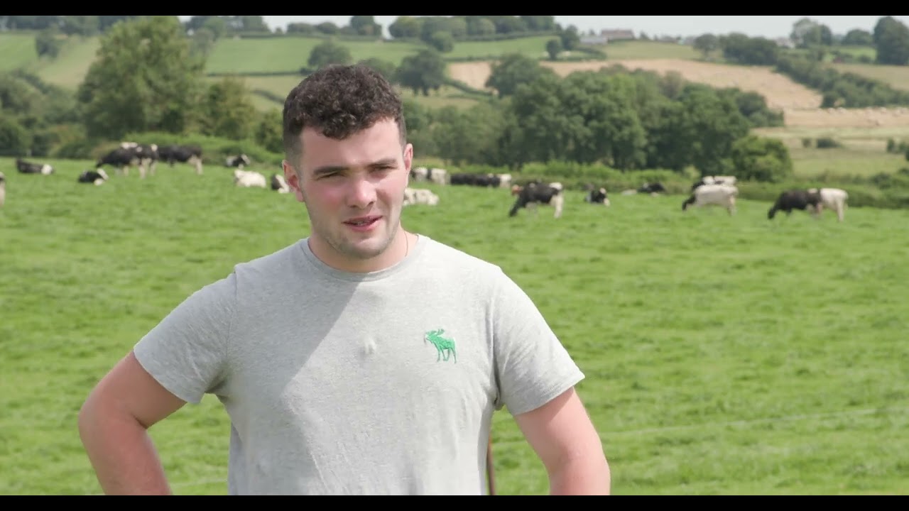 IHFA Breeder Profile - Colin Boland - Glebecartron Herd