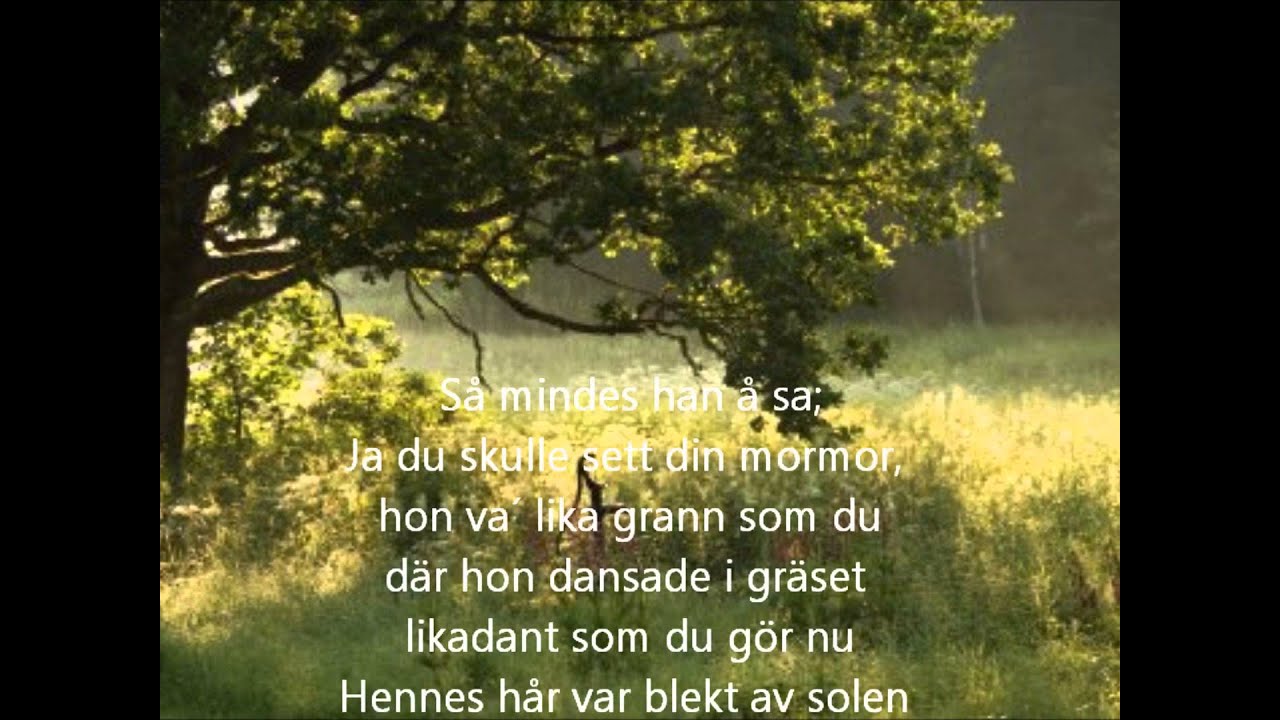 En kväll i juni