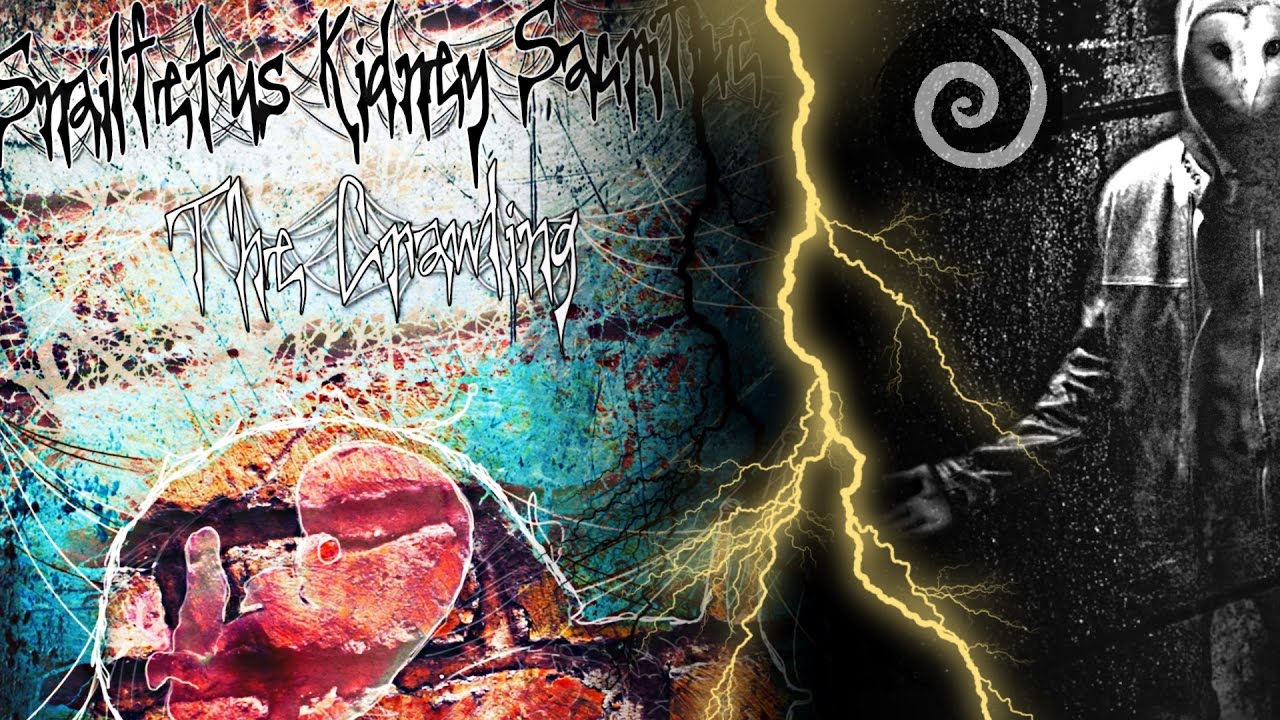 Snailfetus Kidney Sacrifice - The Crawling (album stream)