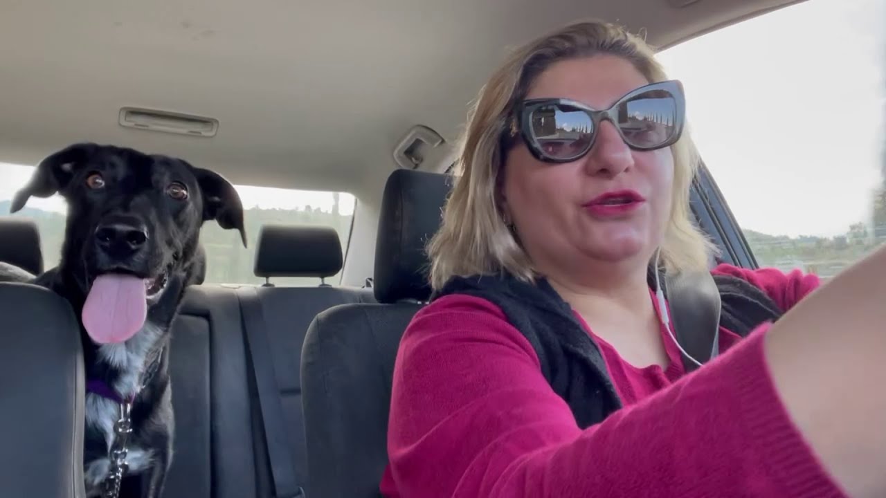 Συγχώρεση Νάρκισσων γονεών και επανεπαφή... Μια (α)συνειδητή επαναθυματοποίηση;