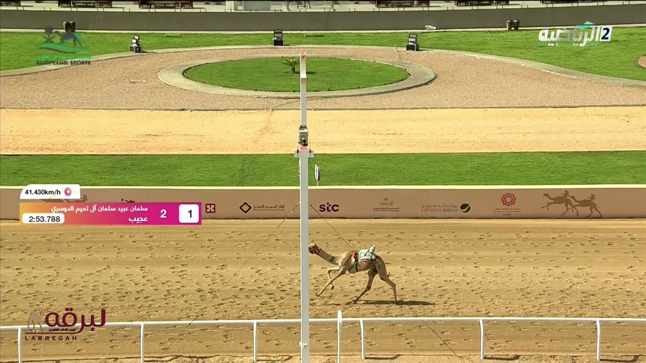 ش4 عجيب لـ سلمان عبيد آل تميم الدوسري (مهرجان ولي عهد للهجن 4-9-2025م) كأس الحقايق قعدان 2:53:78