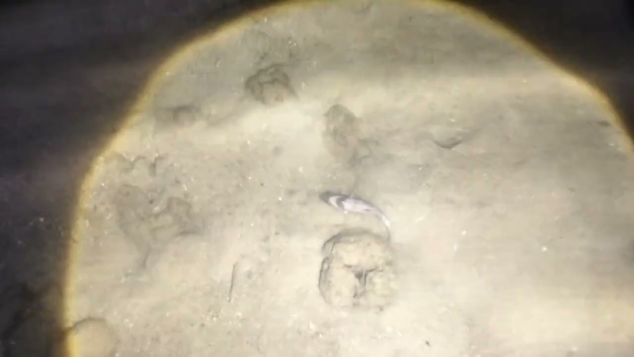 TANGKAP KEPITING DI BELAKANG RUMAH, MALAM KE 2 RAMADHAN.