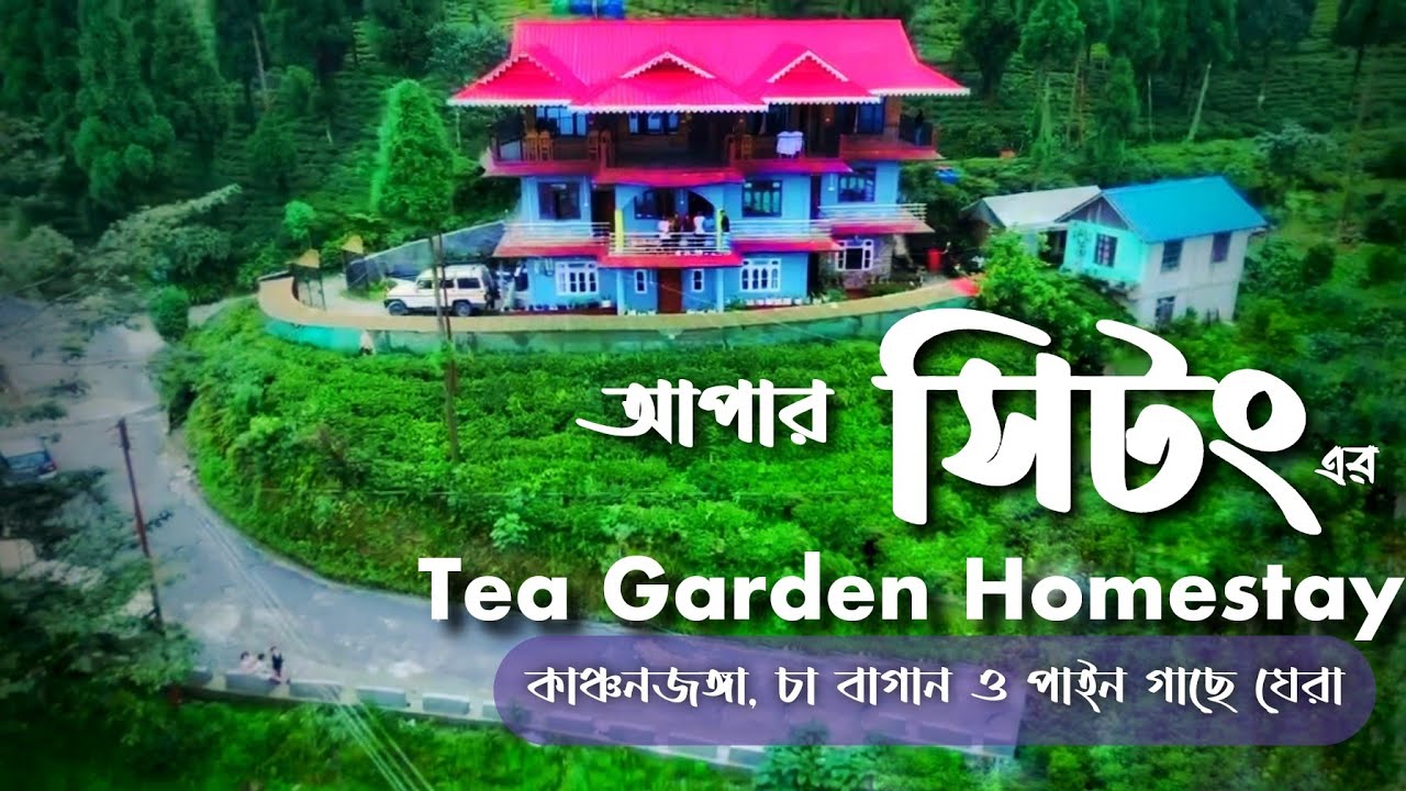 Tea Garden Homestay SITTONG | চা বাগানে ঘেরা Homestay | North Bengal Offbeat |