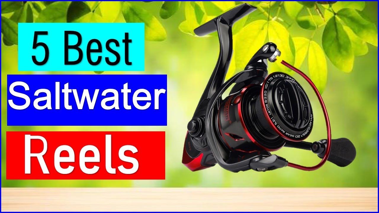 Best Saltwater Reels in 2026 | Top 5 Best Saltwater Reels - Reviewed