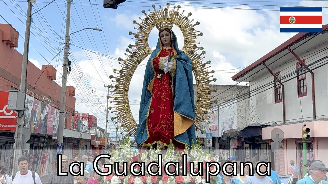 Procesión Virgen de Guadalupe, 2025. #guadalupana #virgendeguadalupe