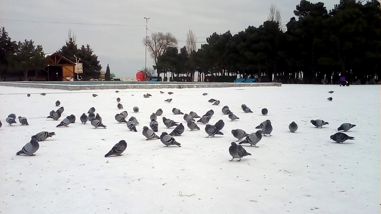 20170130