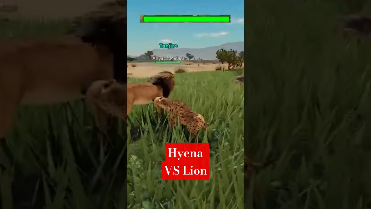 Hyena Vs Lion! Savannah Life | Roblox