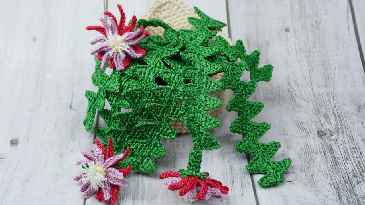 CACTUS COLGANTE REALIZADO CON GANCHILLO (Espina de pescado  Epiphyllum anguliger)