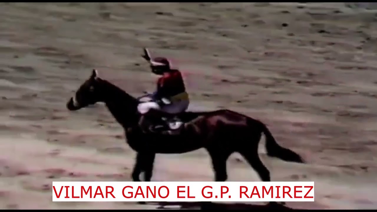 Vilmar Sanguinetti Jockey  2024,turf, Historia de Caballos