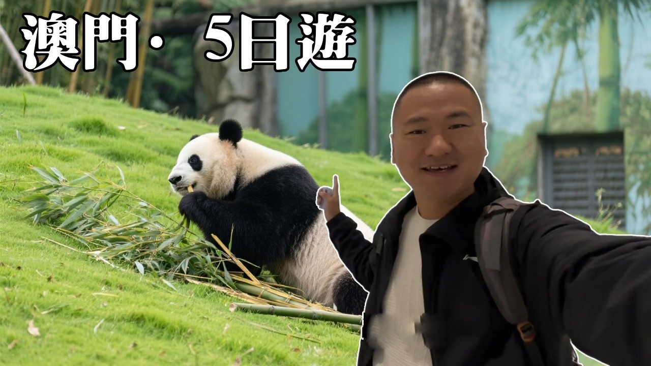 澳門5日遊最小眾路線！去看看成都來出差的大熊貓，來一杯手打咖啡很愜意【大海去旅行】