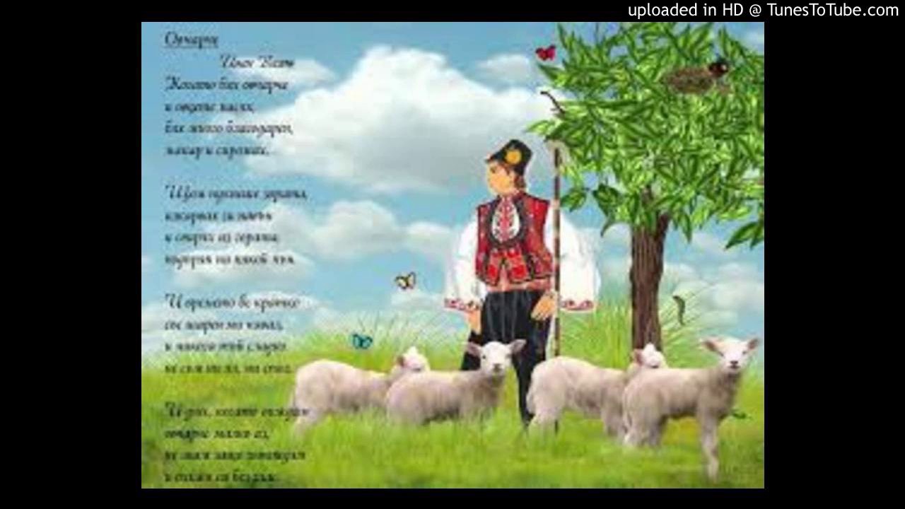 Когато бях овчарче