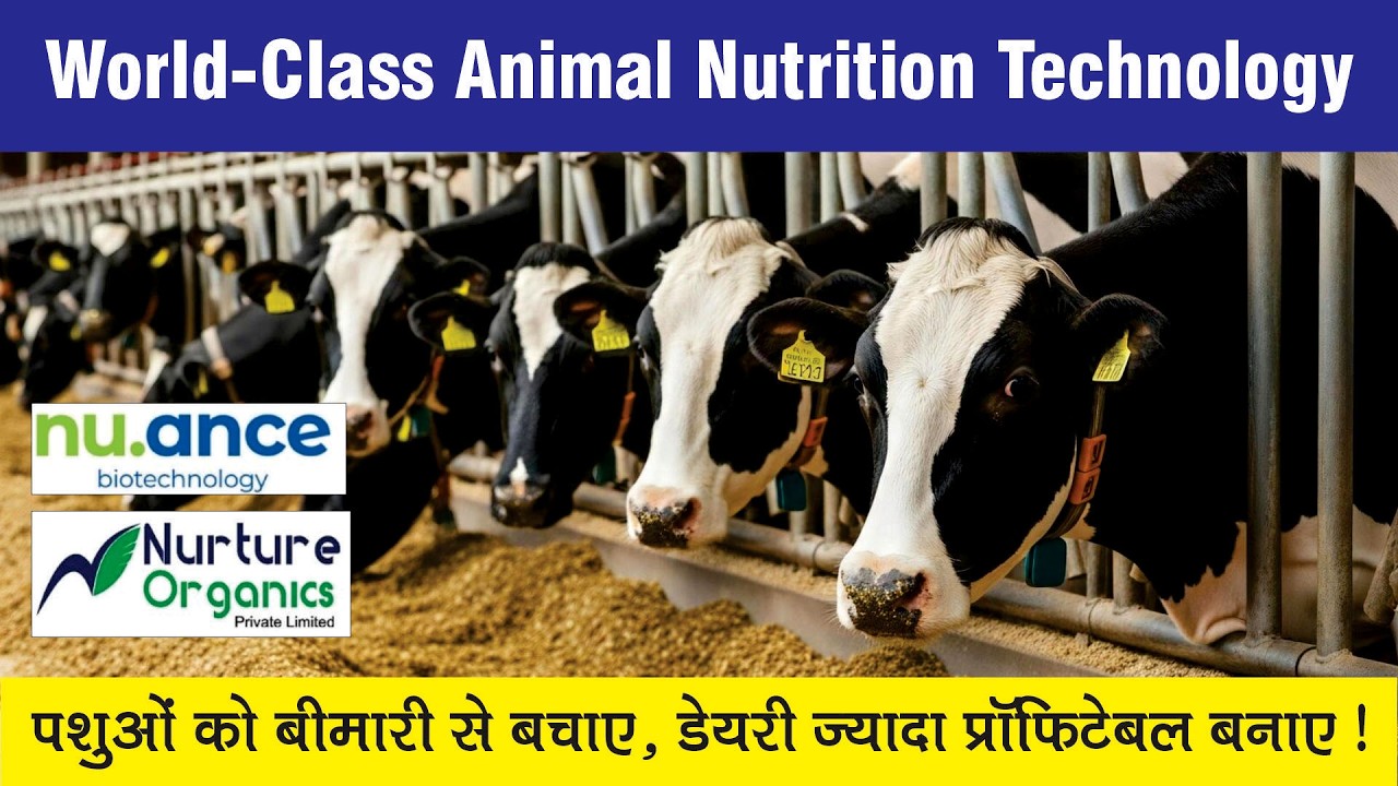 पशुओं को बिमारीयों से बचाए, डेयरी को ज्यादा प्रॉफिटेबल बनाए !