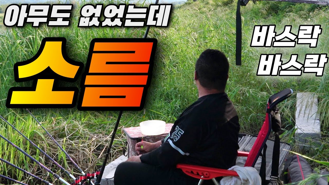 결국 공격당해서 피를 봤네요 / 붕어낚시 불청객 / 담양 영산강