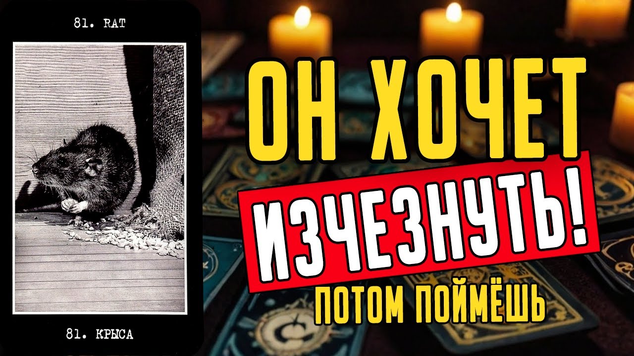 Что он действительно чувствует к вам? Именно сейчас! Его мысли 🧡 таро расклад ♥️ онлайн гадание