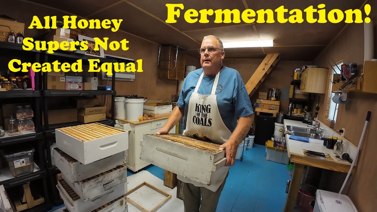 Honey Supers, Nine Frame VS Ten Frame | Which Has More Honey