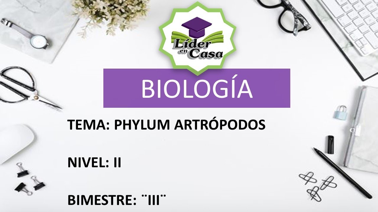 PHYLUM ARTRÓPODOS - BIOLOGÍA - NIVEL II - SECUNDARIA